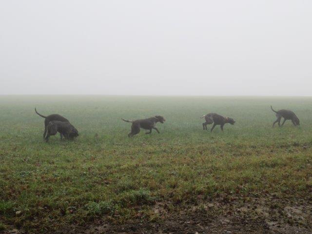 Gruppe